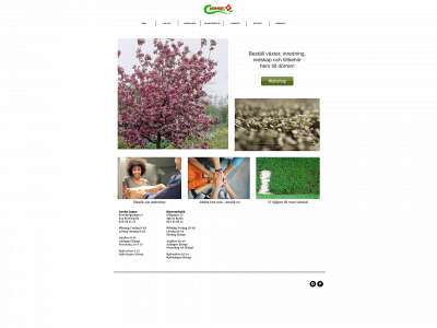 cramersblommor.com snapshot