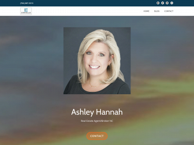 ashleysellscarolinas.com snapshot