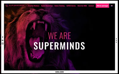 superminds.nl snapshot