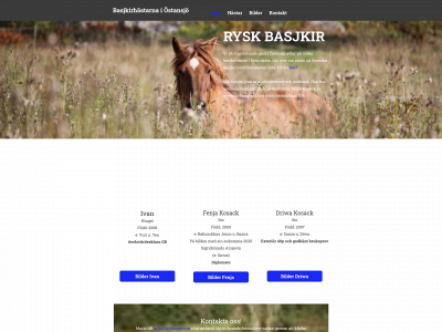 ryskbasjkir.se snapshot