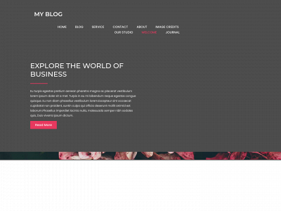 christinedaviault.com snapshot