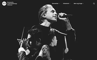 meworchestra.com snapshot