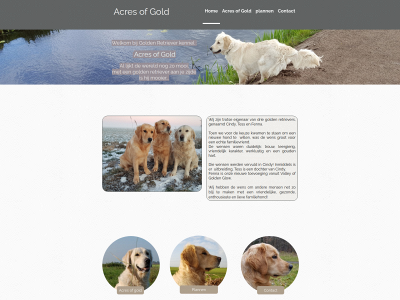acresofgold.nl snapshot