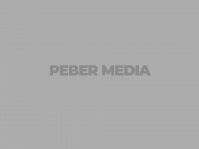 pebermedia.dk snapshot