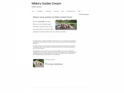 nikkesgoldendream.be snapshot