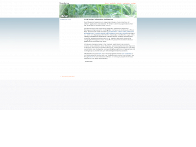 visionspring.com snapshot
