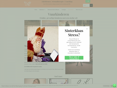 vuurkind.nl snapshot