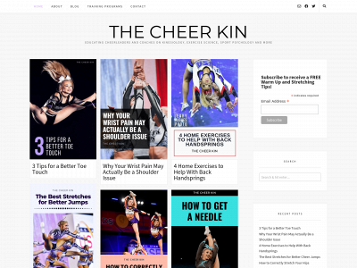 thecheerkin.com snapshot