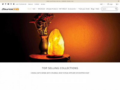 www.sourcediy.com snapshot