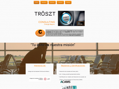 trosztconsulting.com snapshot