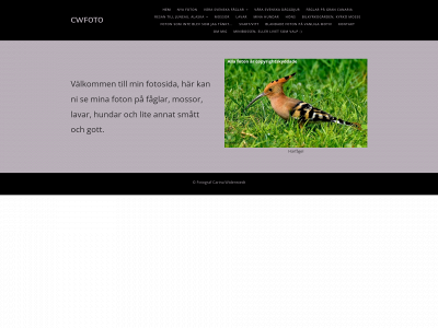 cwfoto.se snapshot