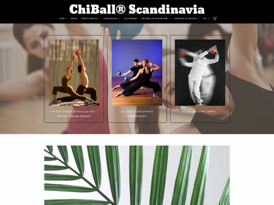 chiball.se snapshot