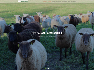 seppalanlammastila.fi snapshot