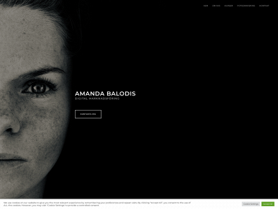 amandabalodis.se snapshot