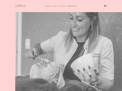 instituutzencha.be snapshot