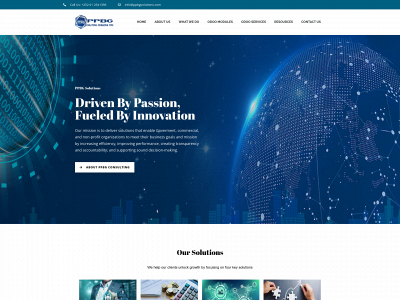 ppbgsolutions.com snapshot