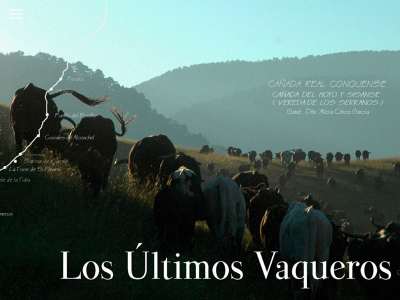 losultimosvaqueros.es snapshot