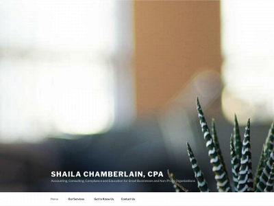 schamberlaincpa.com snapshot