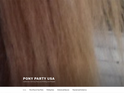 ponypartyusa.com snapshot