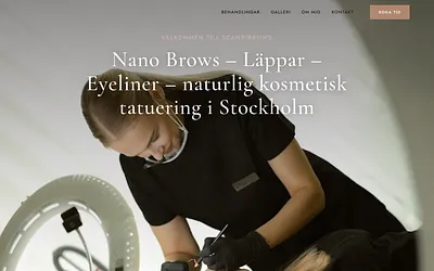 scandibrows.se snapshot