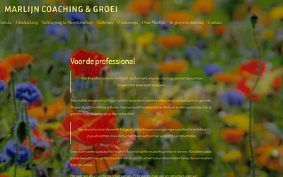coachingengroei.nl snapshot