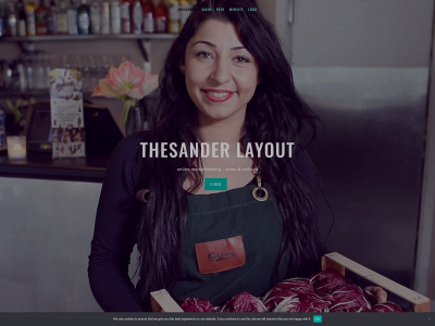 thesander.dk snapshot
