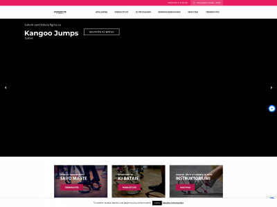 kangooclub.lt snapshot