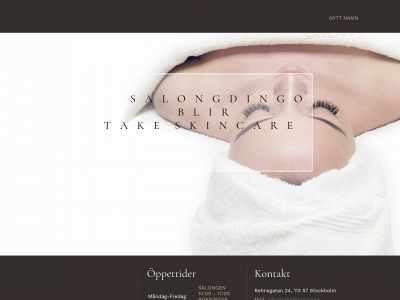 salongdingo.se snapshot