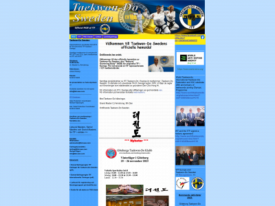 tkd-swe.com snapshot