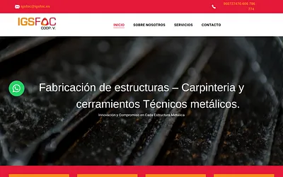 igsfoc.com snapshot