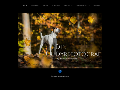 dindyrefotograf.dk snapshot