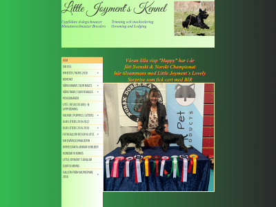littlejoyments.se snapshot