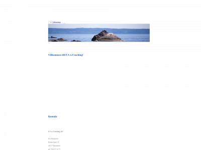 evacoaching.se snapshot