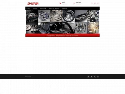 daviva.lt snapshot