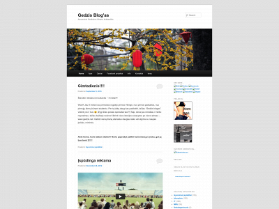 gedzis.net snapshot