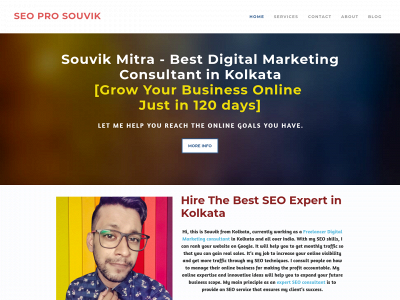 seoprosouvik.weebly.com snapshot
