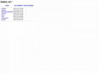 ayn.srr.mybluehost.me snapshot