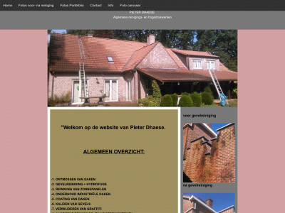 pieterdhaese.be snapshot