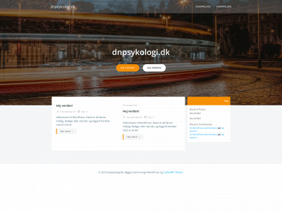 dnpsykologi.dk snapshot
