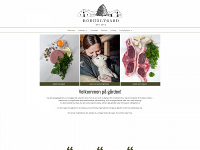 bodholtgaard.dk snapshot