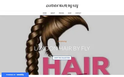 landonhairbyfly.weebly.com snapshot