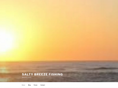 saltybreezefishing.com snapshot
