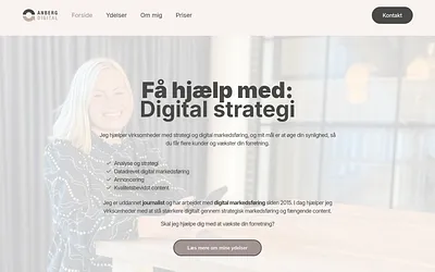 anberg.dk snapshot
