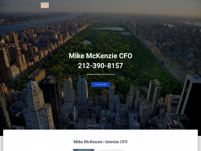 theinterimcfo.com snapshot