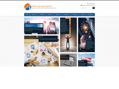 avinaccountants.com snapshot