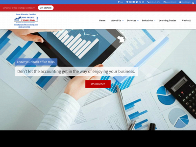 www.proprofitconsulting.com snapshot