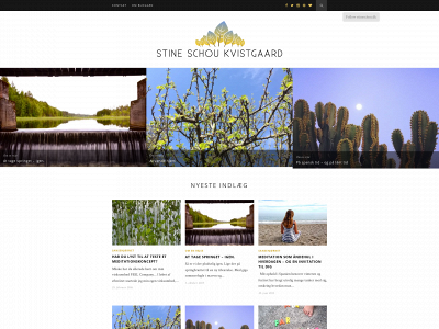 stineschou.dk snapshot