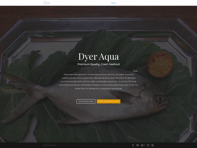 dyeraqua.com snapshot
