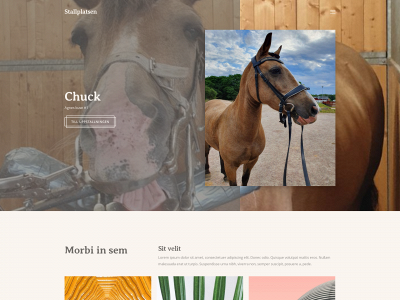 stallplatsen.com snapshot