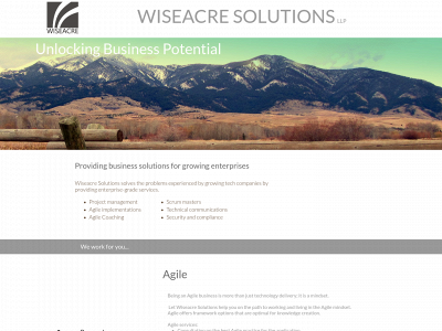 wiseacresolutions.com snapshot
